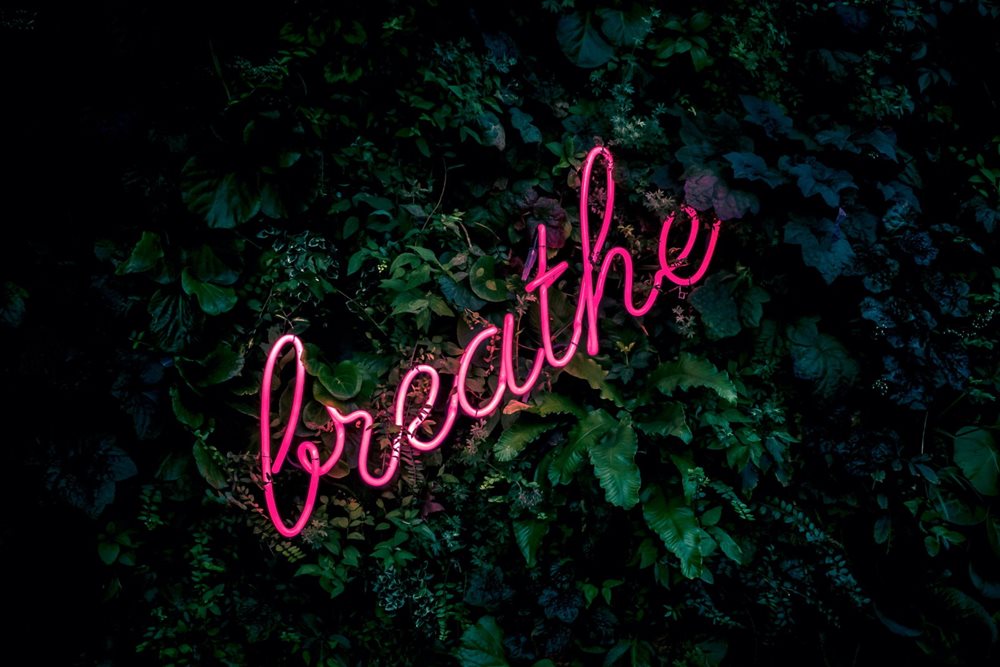 Pink neon sign that reads "breathe".
